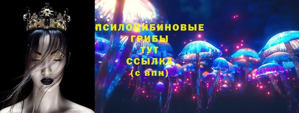 хмурый Алексеевка