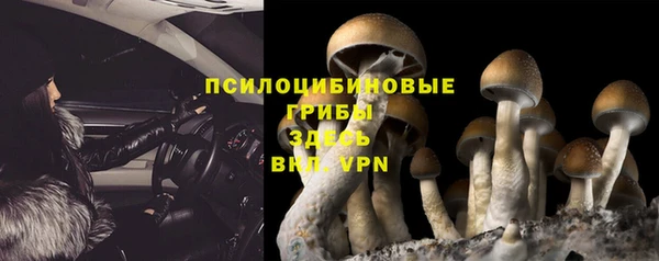 хмурый Алексеевка