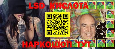стаф Гай