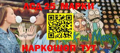стаф Гай