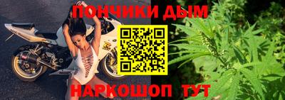 стаф Гай