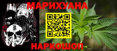 стаф Гай