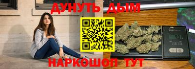 стаф Гай
