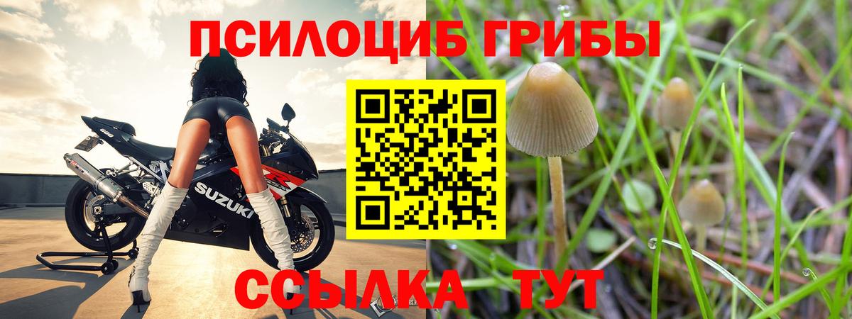 Псилоцибиновые грибы MAGIC MUSHROOMS Новокубанск