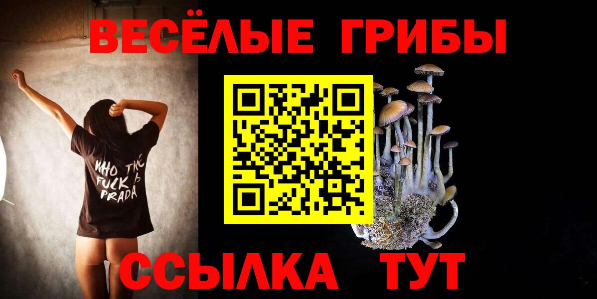 магазин  наркотиков  Галлюциногенные грибы Cubensis  Вход с VPN  Новокубанск 